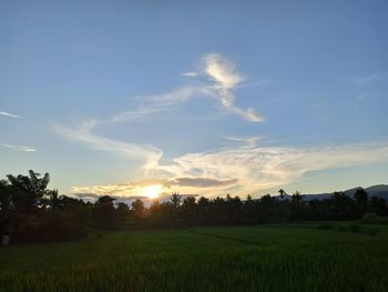 Scenic view of field against sky during sunset