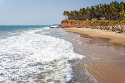 Beautiful beach in varkala, india, foamy sea waves, sand, palm trees. edava village, kerala, india.