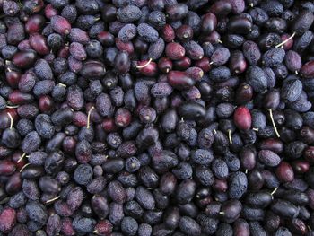 Full frame shot of blueberries