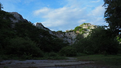 Low angle view of trees and mountains against sky