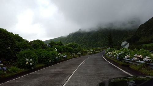 Road amidst trees against sky