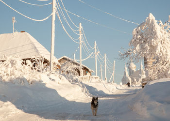 Panoramic view of snow covered mountain against sky