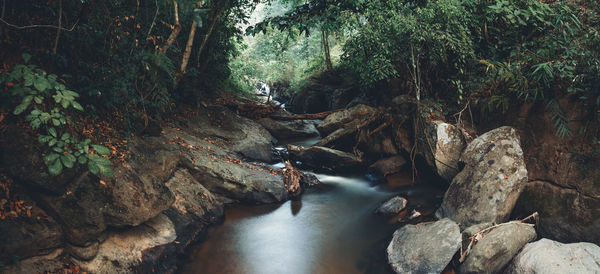 River flowing through rocks in forest