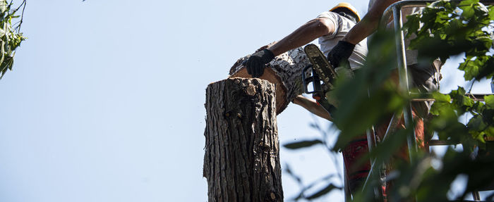 Low angle view of wooden post against sky