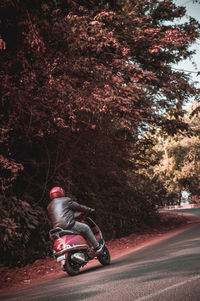 Man riding motorcycle on road