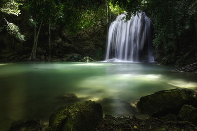 Scenic view of waterfall in forest