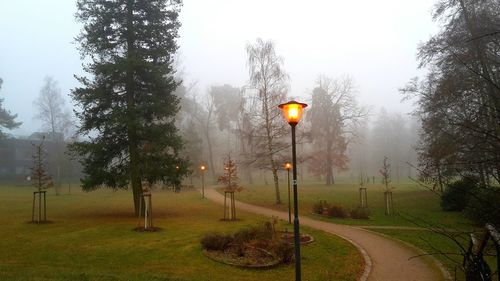 Illuminated street light by trees against sky