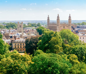 Trees and buildings in city against sky