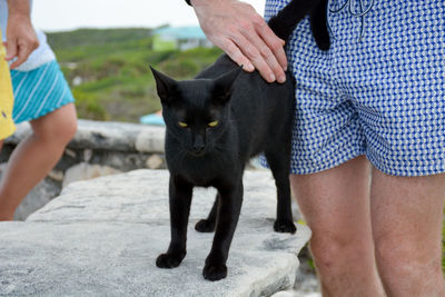 Midsection of woman with cat