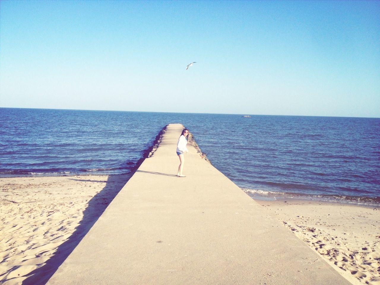 sea, horizon over water, beach, clear sky, sand, water, blue, shore, copy space, tranquil scene, tranquility, scenics, nature, beauty in nature, vacations, the way forward, idyllic, day