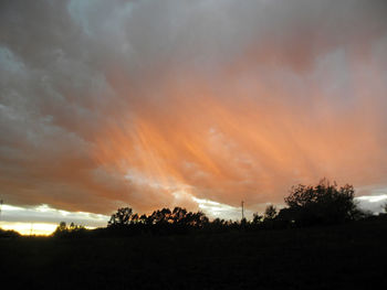 Silhouette trees against sky at sunset