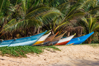 Tropical beach with row of fishing boats, mirissa, sri lanka