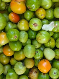 Full frame shot of tomatos