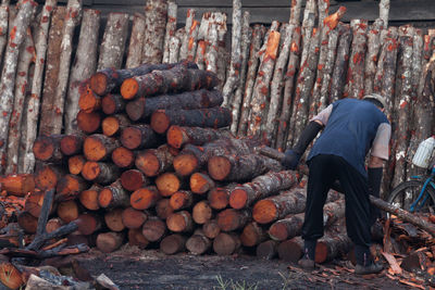 Rear view of worker working by stacked logs