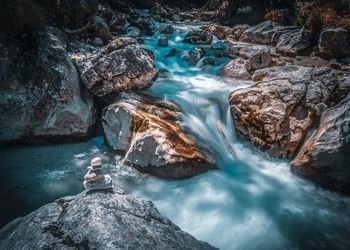 Scenic view of stream in forest