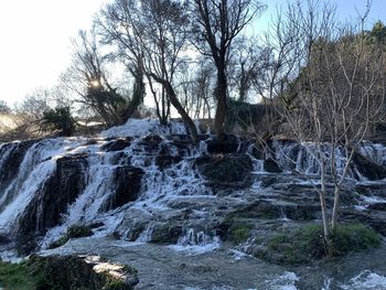 Scenic view of waterfall in forest