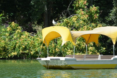 Boat in river against trees in forest