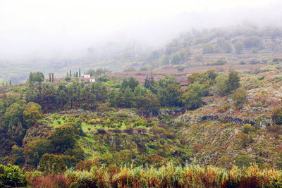 Scenic view of landscape in foggy weather