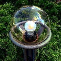 High angle view of crystal ball on grassy field