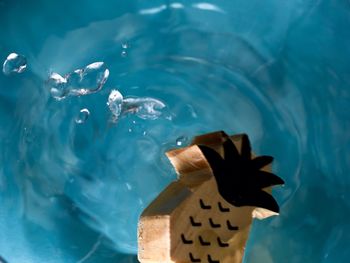 High angle view of wooden pineapple decoration sinking in blue swimming pool