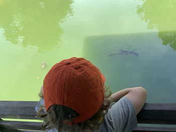 Rear view of boy watching koi fish and turtles in lake