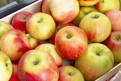 Close-up of apples