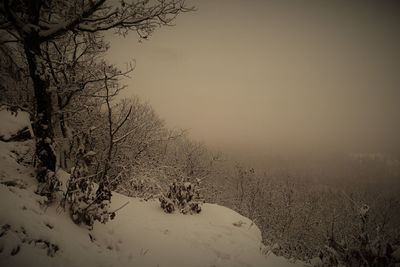 Snow covered land and trees against sky