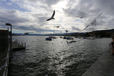Seagulls flying over sea against sky
