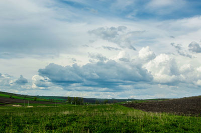 Scenic view of field against sky