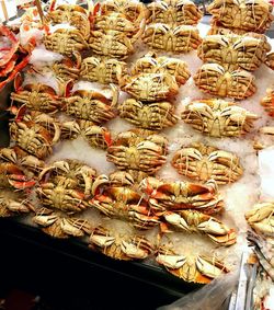 High angle view of candies for sale at market stall