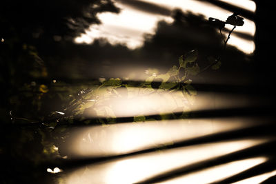 Close-up of water drops on glass