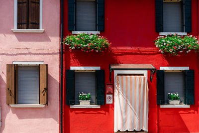 Potted plants on window of building