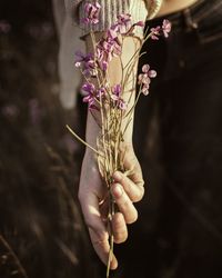 Close-up of hand holding flower