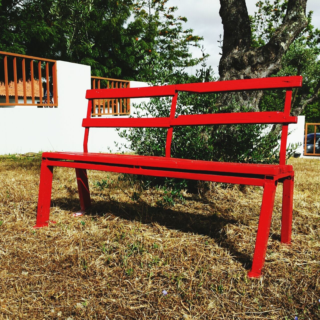 red, tree, park - man made space, absence, chair, empty, bench, wood - material, sunlight, seat, grass, tranquility, day, park bench, nature, outdoors, playground, park, shadow, growth