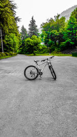 Bicycle on tree against sky