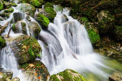 View of waterfall in forest