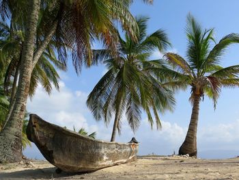 Boat moored by palm trees at beach