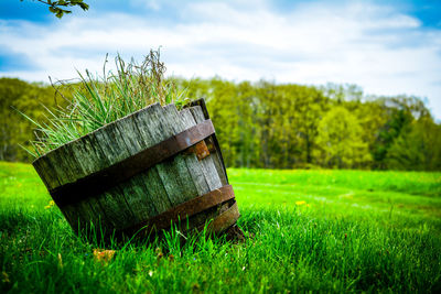 Grassy field against cloudy sky