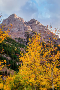 Scenic view of trees and mountains against sky during autumn