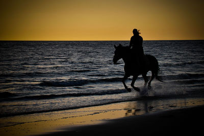 Silhouette person riding horse on beach during sunset