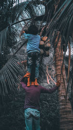 Rear view of girl standing on man picking coconut from tree