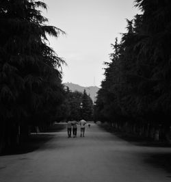 People walking on road amidst trees against clear sky