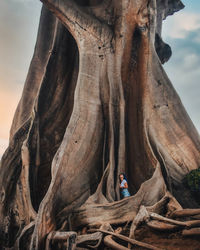Man standing on tree trunk