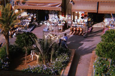 Plants in market stall