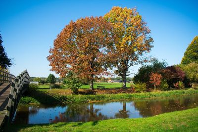 Scenic view of lake against clear sky