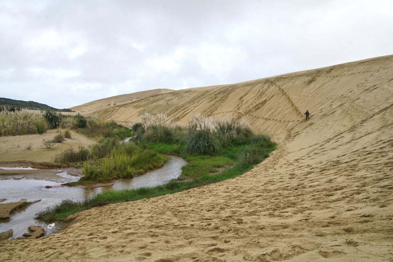 sand, sky, landscape, nature, cloud - sky, tranquil scene, tranquility, day, scenics, outdoors, sand dune, desert, arid climate, beauty in nature, no people