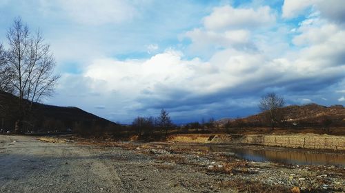 Bare trees against sky