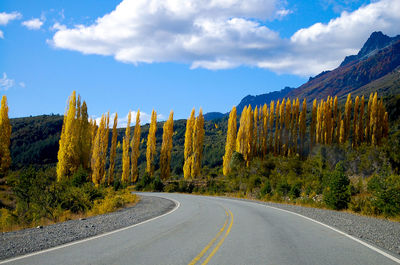 Empty road along plants and trees against sky