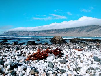 Rocks in sea against blue sky