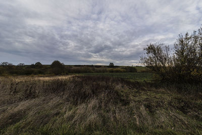 Scenic view of field against sky